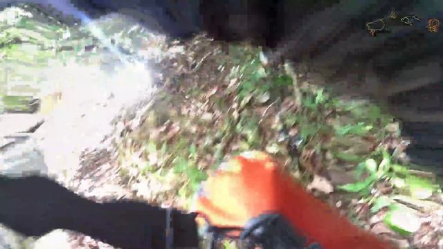 TRISTE, COITADO DELE E A CULPA FOI MINHA, CAPTURAMOS QUEM FEZ ISSO! Pescaria. смотреть онлайн