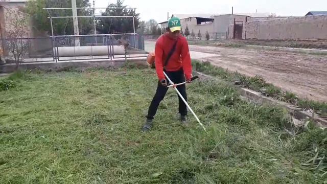 Ут уриш мавсуми
