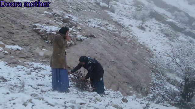 In Winter, They Find Firewood In Snowy Weather.2024🌨️🌨️🥰