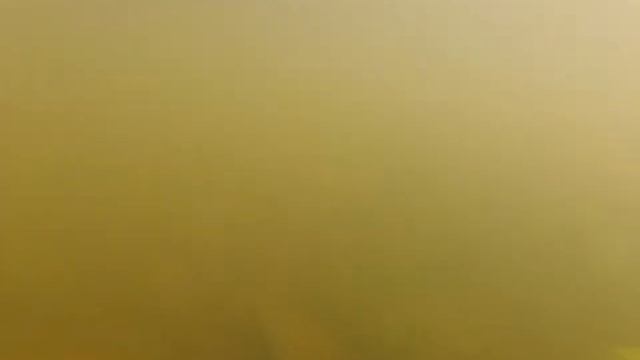 Луховицы . Квадроклуб .Осётр. смотреть онлайн