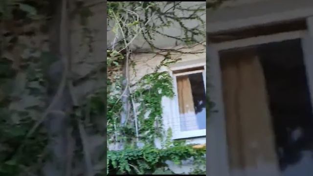 рыбацкийпоселок #лазаревскоесочи смотреть онлайн