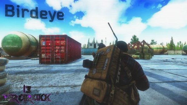 EFT | ПОЛНАЯ ОЗВУЧКА BIRDEYE