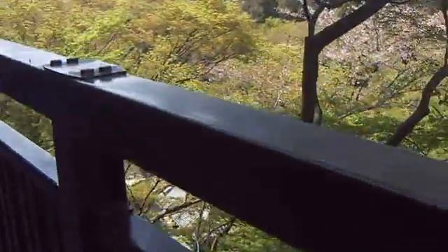 Киото смотреть онлайн