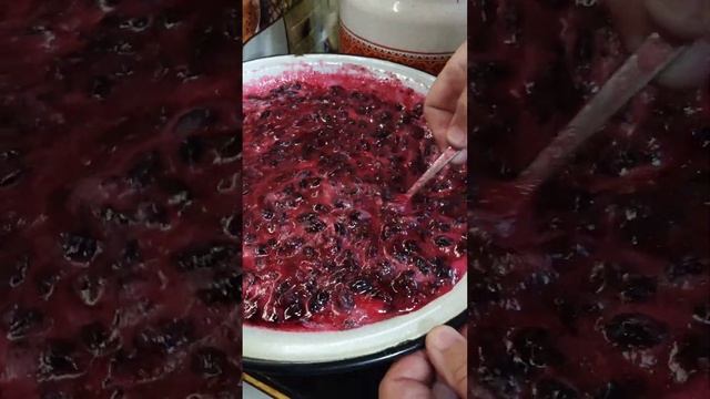 Наука о Здоровье и Жизни