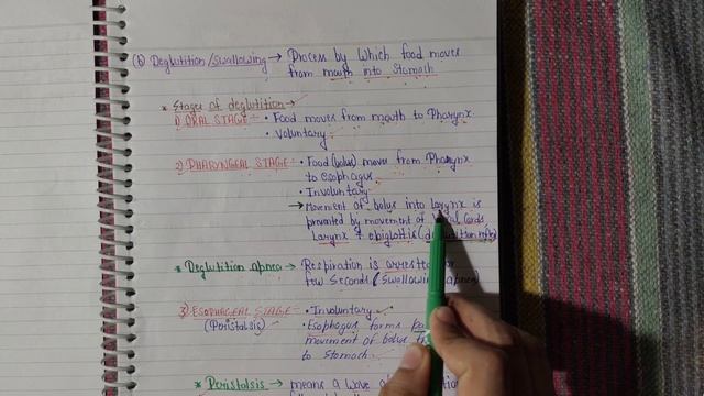 Movements of GIT Part 1(PHYSIOLOGY) Mastication, Deglutition Etc. смотреть онлайн
