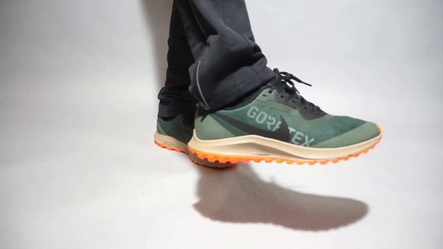 Nike Air Zoom Pegasus 36 Trail GORE-TEX BV7762-300 on feet смотреть онлайн