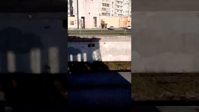 Ето иллюзия) скажите в кокою сторону смотрит окно смотреть онлайн