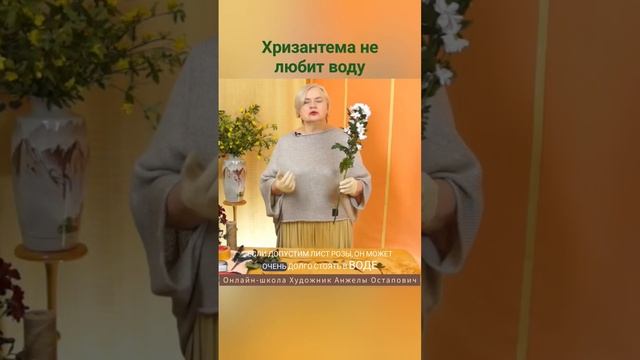 Хризантема не любит воду! Онлай курс Коммерческая флористика. Урок Уход за цветами. смотреть онлайн