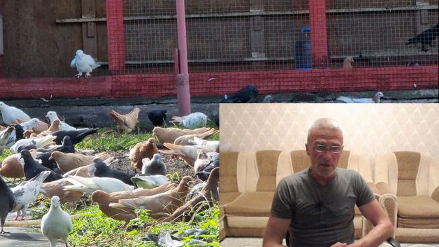 И снова я палка в колёса смотреть онлайн