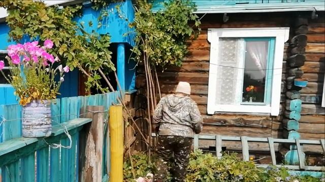 Хмели-сунели #Сад #Садогород #Садовыеработы смотреть онлайн