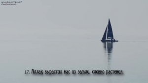 Омар Хишам (Omar Hisham). Сура   Нух . HD