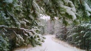 Tombe la neige   Тереза Тенг