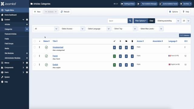Multilingual site with Joomla 4 and Language switcher смотреть онлайн