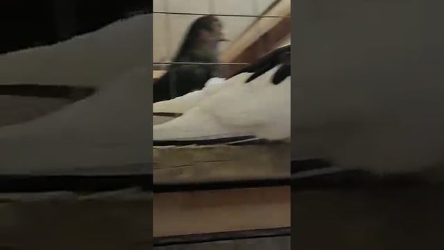 Черноголовые / "купцовские". Свердловские высоколётные Наумыча. смотреть онлайн