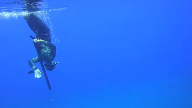 sony w290 underwater test смотреть онлайн