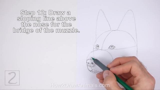 How to Draw a German Shepherd Dog (Head Detail) смотреть онлайн