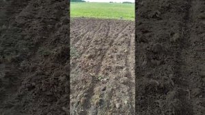 Как можно легко культивировать мотоблоком сидя на адаптере вспаханную целину.