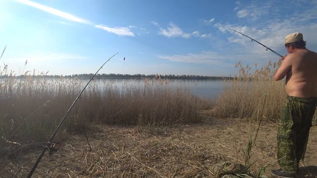 #21 Частые Сходы Рыбы Рыбалка на Реке Волге Ловля Голавля на Донку Фидер смотреть онлайн