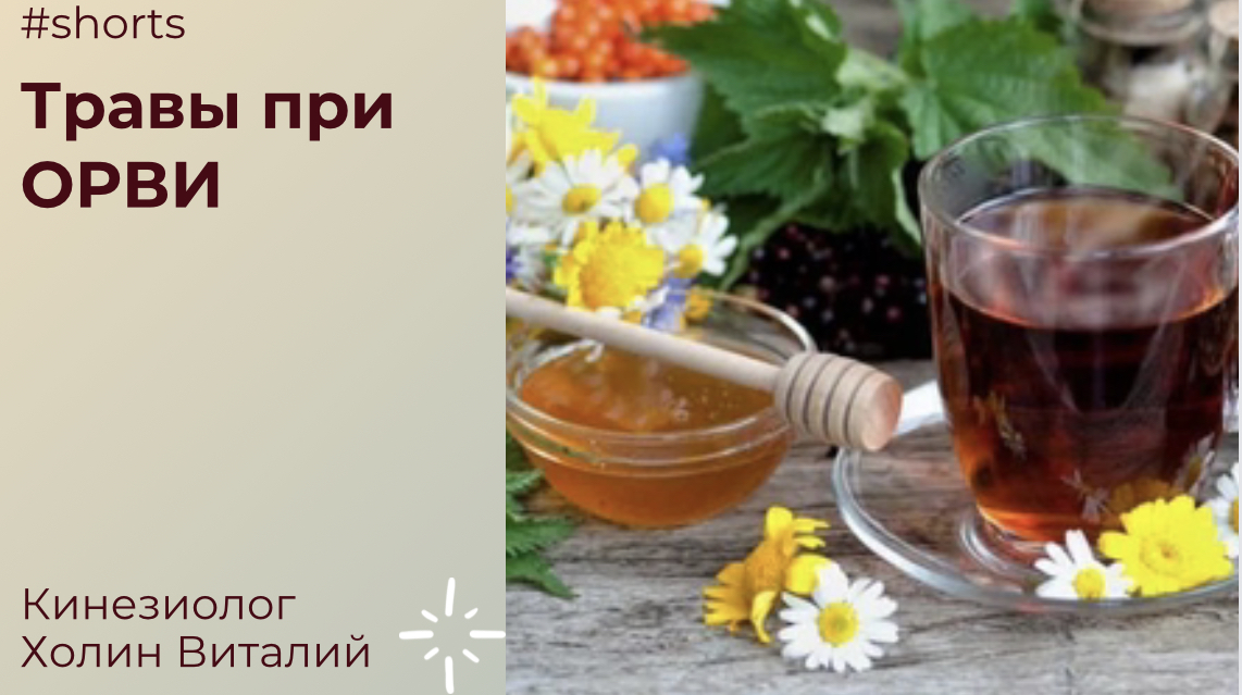 Травы при ОРВИ смотреть онлайн