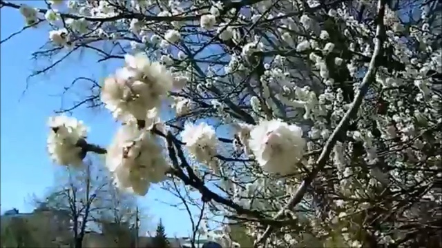 ПЕРВЫЙ СНЕГ... смотреть онлайн