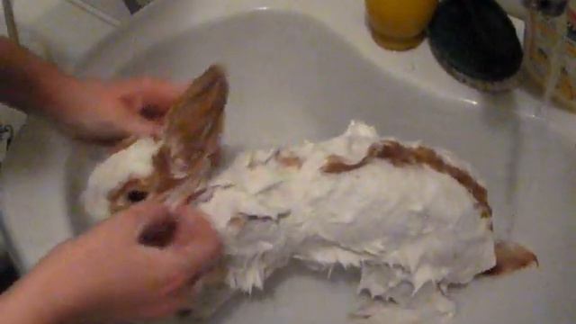 як купали Асю ))).wmv смотреть онлайн