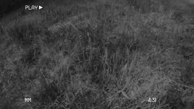 SCP - 1117 [Люди на холме]