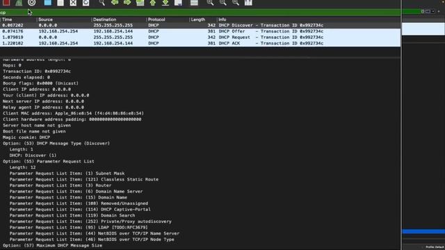 How DNS and DHCP Servers Communicate (With wireshark) смотреть онлайн