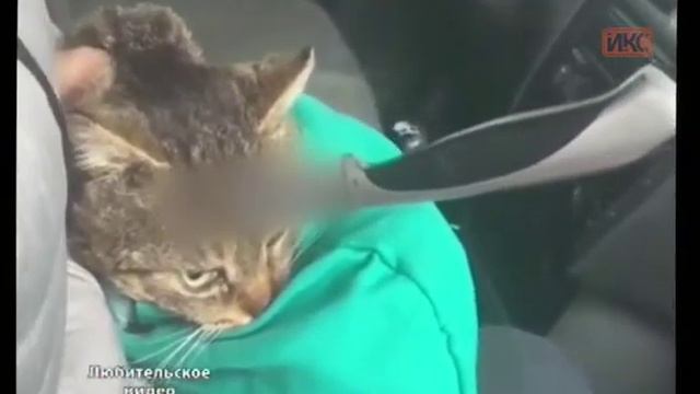 НОВОСТИ 18 февраля. 19 00 смотреть онлайн