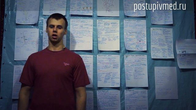 Покрытосеменные. Строение, классификация. Отличие двудольных от однодольных. смотреть онлайн