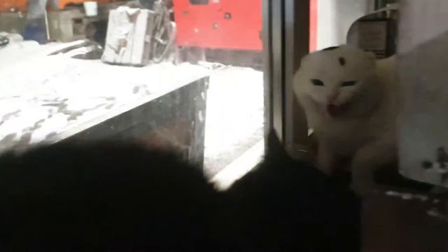 знакомство с другом смотреть онлайн