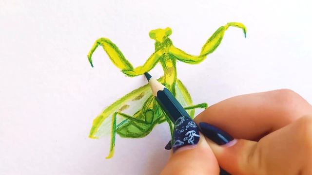 Богомол-Одно из Самых Древних Насекомых! Рисуем Маркерами! Легко и Просто! смотреть онлайн