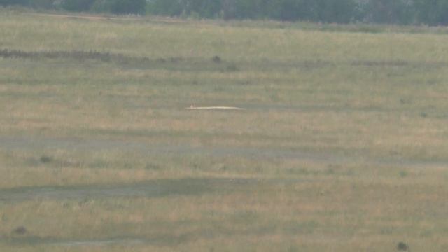 750 метров по сурку смотреть онлайн