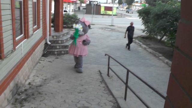 Мишка Тедди идёт на праздник *Миллерово* Пармиджана смотреть онлайн