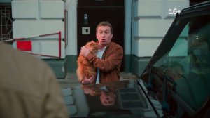 Котострофа | СТС Love