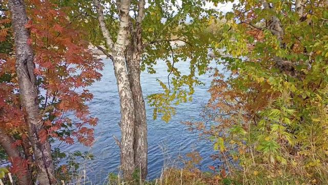 Камчатка.Осень.Река Авача.6 января 2024 г. смотреть онлайн