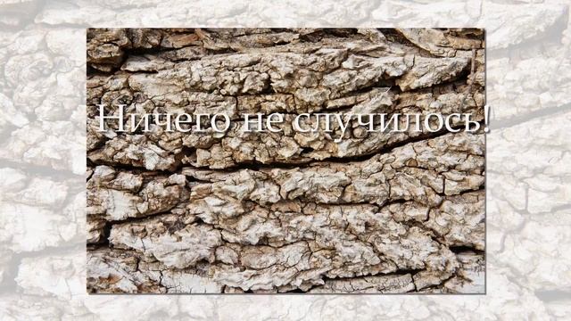 Притча "Урок бабочки" | Слайдшоу смотреть онлайн