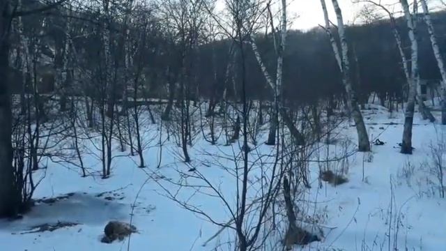 Тимофеевка 2020 смотреть онлайн