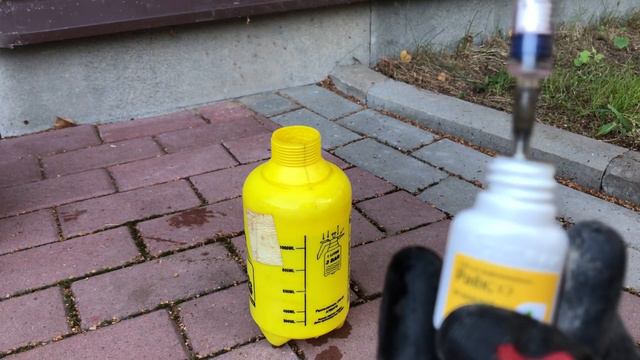 Мучнистая роса. Чем опрыскать? Действие уже через 2 часа!