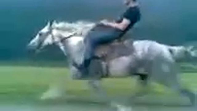 какую максимальную скорость развивает лошадь смотреть онлайн