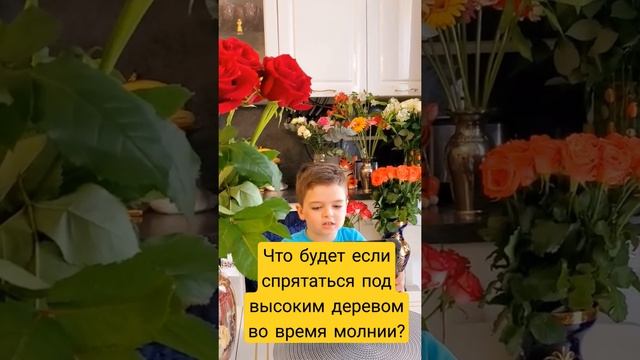 Почему нельзя стоять под высоким деревом во время грозы и молнии? #обж #правилажизни #гроза #молния смотреть онлайн