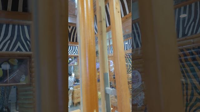 Сова в кафе Бангкока смотреть онлайн