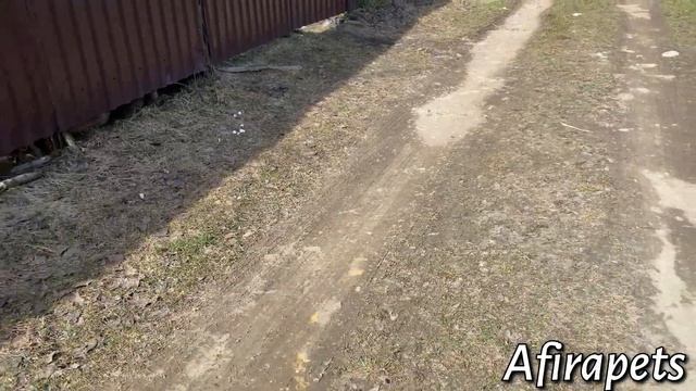 ДАЧНЫЙ СЕЗОН ОТКРЫТ 2023 смотреть онлайн