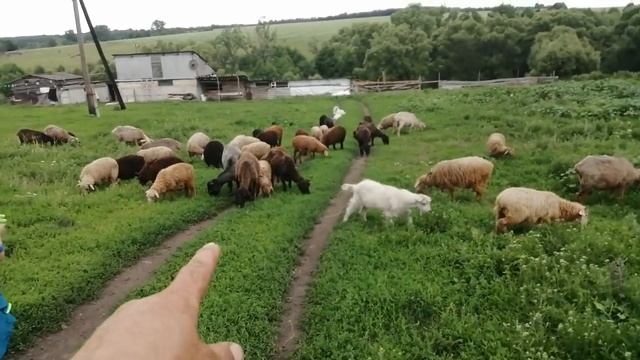 В окружении помощников я/РУССКИЙ ДУХ/ОРЛОВЕЦ/БЫТЬ ДОБРУ/ смотреть онлайн