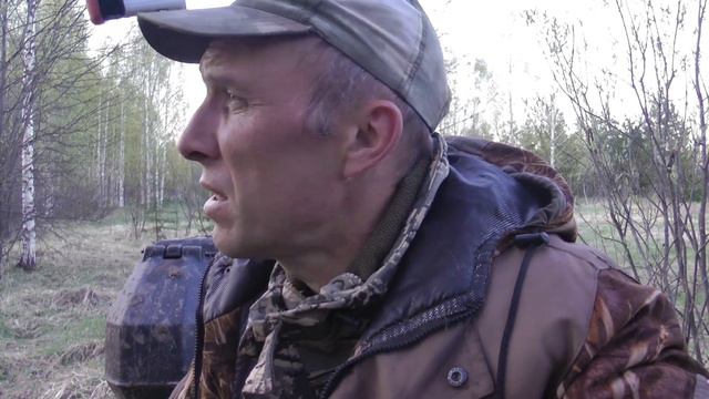 Охота на вальдшнепа на вечерней тяге 2023. смотреть онлайн