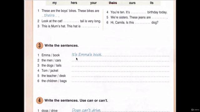 16. Контрольное задание Check up Possessives & Can смотреть онлайн