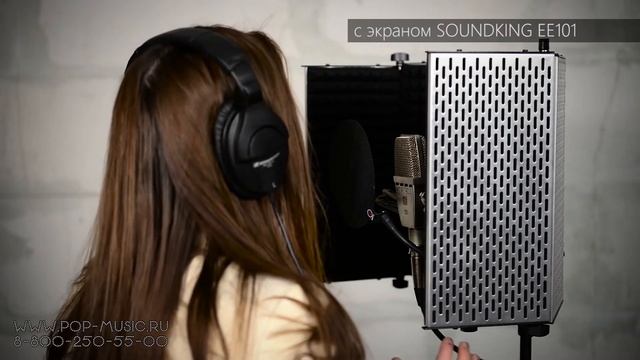 Звукопоглощающий экран SOUNDKING EE101 смотреть онлайн