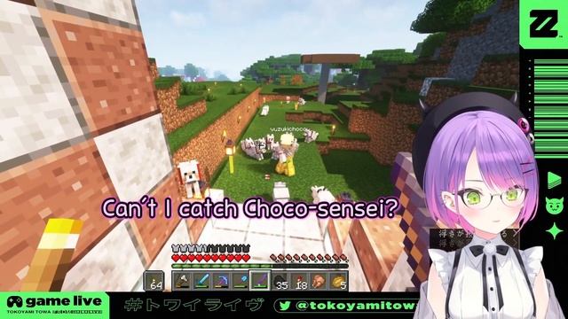 Towa Visits Choco, Gets Devoured By Her Dogs & Choco Can't Stop Laughing -Minecraft ENG Sub Hololiv смотреть онлайн