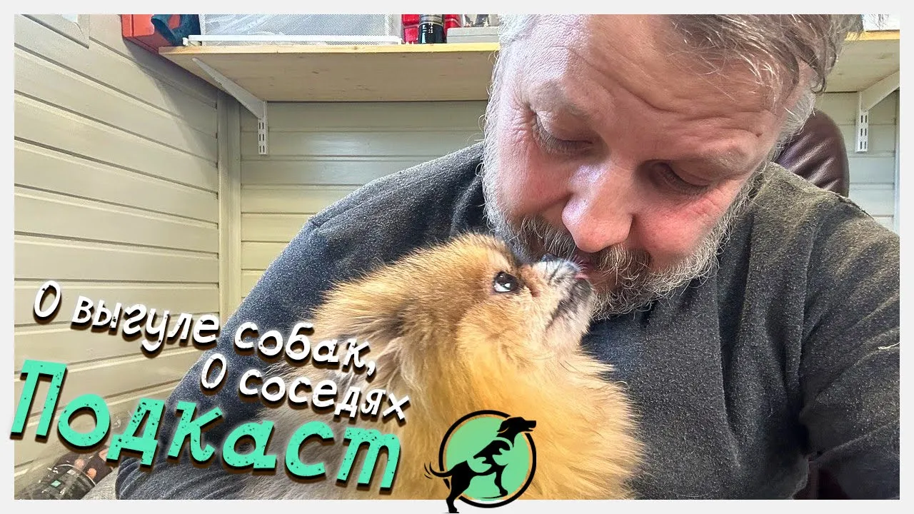 Соседи хвостатого счастья - кто они_