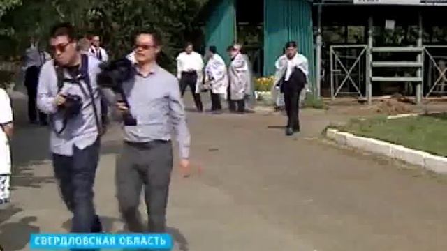 Вице премьер КНР посетил уральский центр по селекции быков »