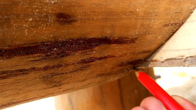 Обучение канадской рубке. Строительство деревянного дома своими руками.